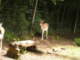 Week-end chez Nath 114